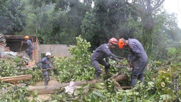 Reprodução/Bombeiros do Estado de São Paulo