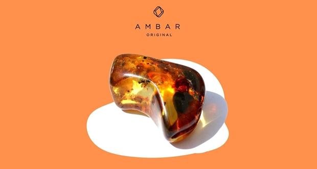 Imagem de Divulgação / Ambar Original - Imagem de Divulgação / Ambar Original