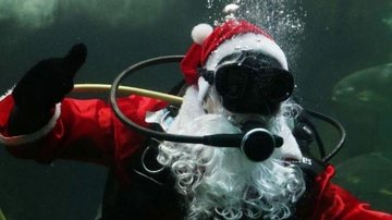 Além do mergulho, bons velhinhos realizam conversa para conscientizar os visitantes sobre o cuidado com a natureza Papai Noel mergulha em Santos Foto do papai Noel mergulhando dentro do aquário - Da redação
