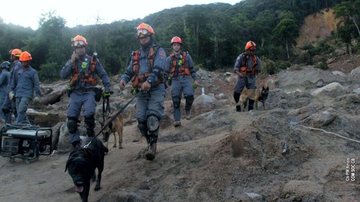 Divulgação/Corpo de Bombeiros SP