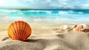 Neste Dia de Reis, não se esqueça de guardar com cuidado os enfeites natalinos. Já já é Natal novamente! O seu resumo diário de notícias desta quinta-feira (6) chegou! Conchas na areia e mar azul turquesa ao fundo - wallpaperflare.com