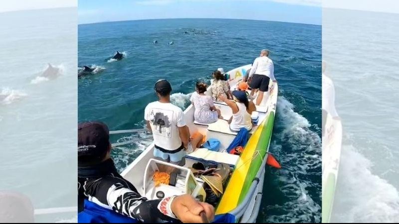 Embarcação seguia para a Ilha Montão de Trigo nesta quarta-feira (29) e foi seguida por diversos golfinhos Golfinhos acompanham barco de turistas na costa sul de São Sebastião | VÍDEO Embarcação em alto mar com turistas a bordo é acompanhada por diversos g - Reprodução/Instagram