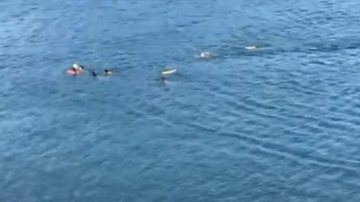 Helicóptero Águia, da Polícia Militar, e guarda-vidas resgataram as vítimas Família é arrastada pela correnteza em Ubatuba Visão aérea do mar com a família sendo resgatada - Reprodução YouTube