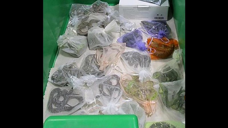 Animais apreendidos na roupa do suspeito Homem é preso com 52 cobras e lagartos escondidos dentro da roupa nos EUA Cobras e lagartos em saquinhos - Imagem: Alfândega e Proteção de Fronteiras dos EUA via AP