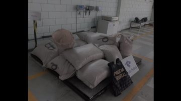 Sacas de cocaína escondidas em carga de milho foram descobertas durante operação  Vários sacos - Imagem: Divulgação / Polícia Federal