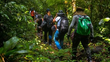 Opções de lazer e contato com a natureza Ecoturismo: Conheça as opções de trilhas em Bertioga Pessoas caminhando em trilha - Divulgação PMB