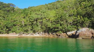 Ilha Anchieta está localizada em frente à praia da Enseada e do Saco da Ribeira Youtubers visitam Ubatuba e se surpreendem com curiosidades sobre a Ilha Anchieta Vegetação, pedra e mar da Ilha Anchieta - Reprodução Youtube
