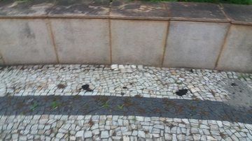 Indivíduos defecam em praça de Santos - Santos Minha Cidade Merece Respeito