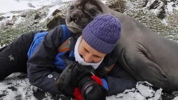 Animal abraçou o pescoço e deitou em cima das costas do fotógrafo Para aquecer o coração: fotógrafo é abraçado por foca Foca deitada nas costas do fotógrafo - Reprodução