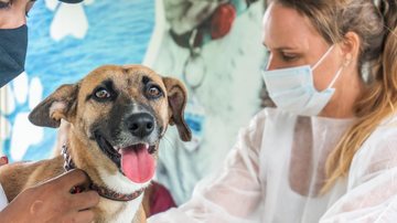 O veículo ficará estacionado na Primeira Igreja Batista, localizada na rua Cardeal Emile Biayenda Castramóvel atende peludos de três bairros de Bertioga até junho Cãozinho é atendido por profissional de veterinária - Prefeitura de Bertioga