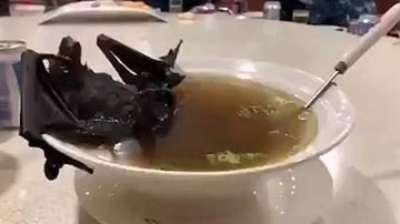 Reprodução/ Twitter