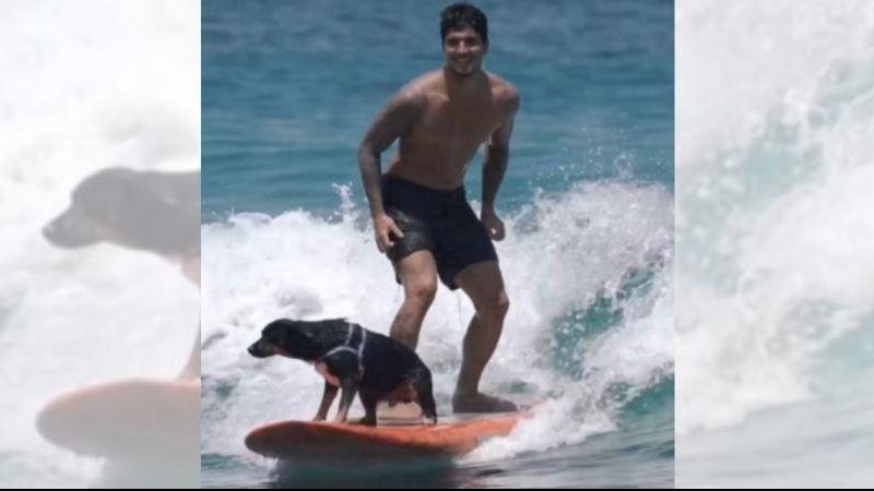 Pet aparenta ser a cadela que o tricampeão mundial de surfe adotou em 2020 Surfista Gabriel Medina pega onda acompanhado de cachorro Medina no mar ao lado de cachorro - Reprodução