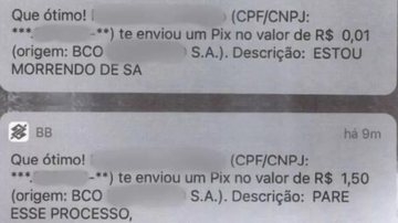 Homem de 67 anos foi detido em sua casa, em Fortaleza Idoso importuna ex com mensagens via Pix prints dos Pix recebidos pela ex-namorada - Reprodução
