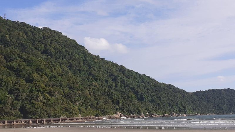 Vista do Canto do Forte, em Praia Grande Olá! Seus resumo diário de notícias desta terça-feira de Carnaval chegou Ponta de Itaipu e praia com gaivotas no Canto do Forte, em Praia Grande - Esther Zancan