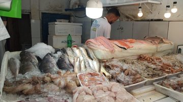 Operação Semana Santa segue nos próximos dias Peixes Diversos peixes a venda - Divulgação/Prefeitura de Guarujá
