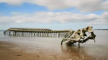 Estrutura vista pelo Google Maps na verdade é uma obra de arte Suposto esqueleto de cobra pré-histórica gigante agita a web Obra de arte intitulada "Le Serpent d'Océan", localizada na costa francesa - atlantic-loire-valley.com