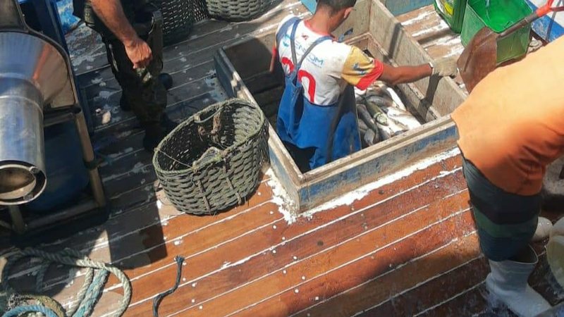 Embarcação irregular flagrada durante operação carnaval 2 - Meia tonelada de peixes e 3 barcos apreendidos em operações em Ubatuba, Peruíbe, Santos e Mongaguá Policial Ambiental em embarcação irregular - Imagem: Divulgação / Polícia Militar Ambiental
