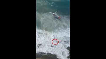 Resgate aconteceu na Praia de Pitangueiras. Turistas passam bem Guarujá - Vídeo mostra turistas tragados por mar violento sendo salvos em Guarujá (SP) Turistas no mar com ondas agitadas - Imagem: Reprodução / O itapecericano@Facebook