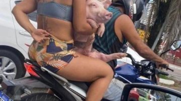 Ainda não se sabe ao certo o fim que o animal teve Porco na moto Porco na moto com um casal - Reprodução