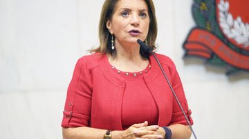 Imagem Entrevista com Professora Bebel