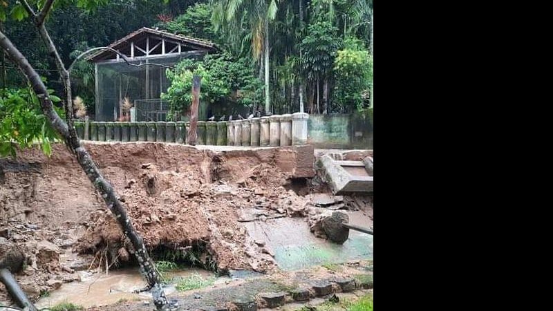 Segundo a prefeitura, o Horto está fechado desde 2020, por orientação da Defesa Civil, devido aos riscos de deslizamento Fortes chuvas causam transtornos até para hipopótamo em SV Parte do recinto do hipópotamo Ramon no Horto de São Vicente desmoronado - Reprodução/Instagram Sociedade Organizada de São Vicente