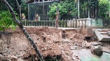 Segundo a prefeitura, o Horto está fechado desde 2020, por orientação da Defesa Civil, devido aos riscos de deslizamento Fortes chuvas causam transtornos até para hipopótamo em SV Parte do recinto do hipópotamo Ramon no Horto de São Vicente desmoronado - Reprodução/Instagram Sociedade Organizada de São Vicente