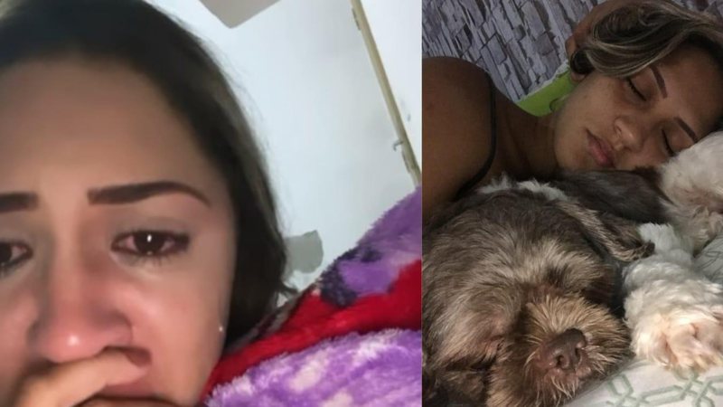 Jovem roga ajuda para encontrar o pet perdido - Arquivo Pessoal