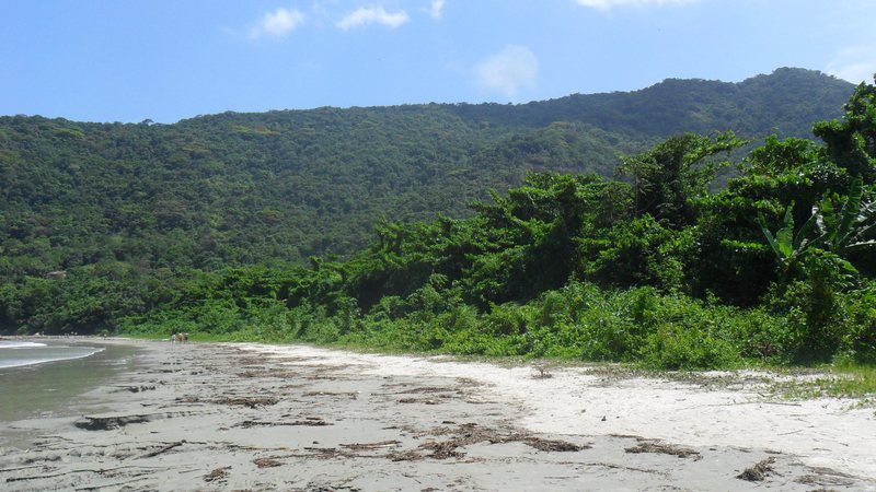 Vista da praia de Maranduba, em Ubatuba Seu resumo diário de notícias desta quarta-feira de cinzas acaba de chegar! - Esther Zancan