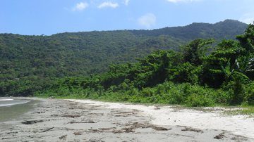 Vista da praia de Maranduba, em Ubatuba Seu resumo diário de notícias desta quarta-feira de cinzas acaba de chegar! - Esther Zancan