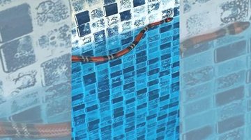 Cobra foi retirada da piscina e levada para um centro de triagem de animais silvestres em Presidente Prudente Cobra resolve “curtir” uma piscina no interior de SP Cobra falsa-coral em piscina - Reprodução/Polícia Militar Ambiental