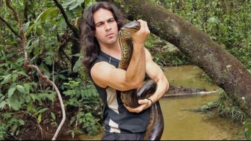 Resgate do animal foi feito pela Guarda Civil Municipal e pelo biólogo Antônio Bordignon Sucuri com mais de 3 metros é vista passeando em cima do muro de uma casa - Reprodução