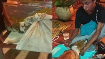 Morador de rua é filmado aos prantos enquanto acaricia melhor amigo canino - Portal Costa Norte