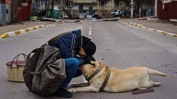 Fotógrafo Marcus Yam afirmou que pretende ficar o máximo que puder para cobrir a guerra Fotografia da Ucrânia Cachorro acolhido por civil em meio aos destroços da Ucrânia - Divulgação