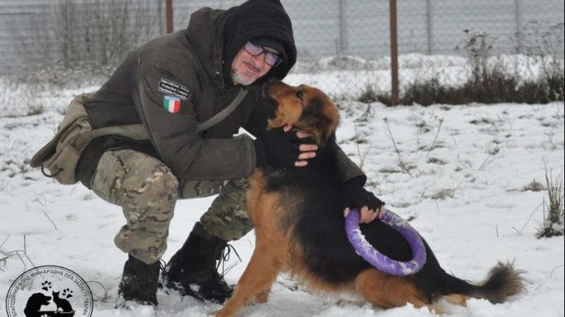 Abrigo tem cachorros, gatos, ovelhas e cabras; ao todo são 400 animais Cachorro com dono Dono abraçado ao seu cachorro na neve - Reprodução/Redes Sociais