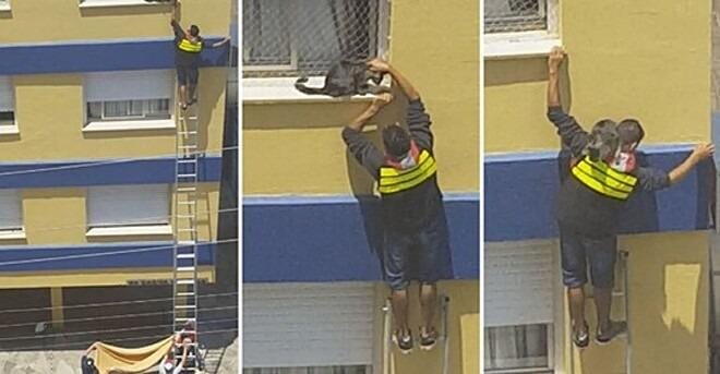 Motoboy sobre mais de 10 metros para salvar gatinho em apuros - Reprodução/web