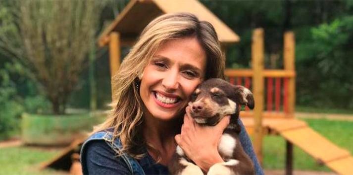 Ativista estará presente no evento, que contará com 65 animais, entre cães e gatos, à espera de um novo lar Luisa Mell - Divulgação