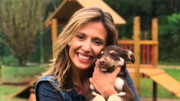 Ativista estará presente no evento, que contará com 65 animais, entre cães e gatos, à espera de um novo lar Luisa Mell - Divulgação