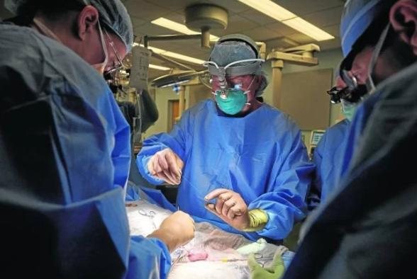 Caso é uma difalia e foi identificado pela primeira vez em 1.069 Bebê com dois pênis Médicos em sala de operação - Divulgação