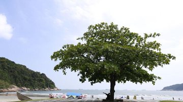 Dois dos crimes ocorreram na costeira da praia do Guaiúba - Helder Lima