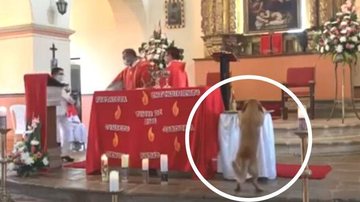 Flagrante do momento do delito canino em plena igreja Cão “herege” furta pão em plena missa | VÍDEO Cão furta pão durante missa na Colômbia - Reprodução/Redes Sociais