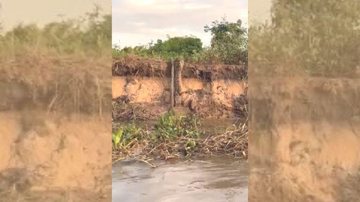 Onça-pintada não teve muitas dificuldades para pegar a sucuri dentro do rio Vídeo mostra onça pegando sucuri de 4 metros no Pantanal Onça-pintada saindo de dentro de rio com cobra sucuri na boca - Reprodução/Cleyson Athaide