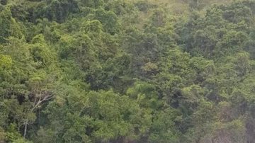 Turistas se perderam em trilha no arquipélago de Ilhabela, SP Em Ilhabela (SP), duas turistas se perdem em trilha e são resgatadas por helicóptero da PM turistas perdidas na mata - Foto: PM
