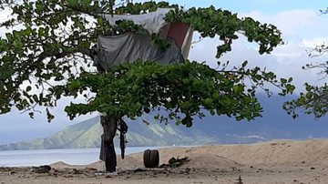 "Casa" instalada em uma árvore na praia do centro, em Caraguatatuba, SP ‘Casa na árvore’ é desmontada durante fiscalização em Caraguatatuba (SP) casa da árvore em caraguatatuba - Foto: Prefeitura de Caraguatatuba