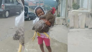 Segundo informações da mãe da menina, ela é muito apegada no animal de estimação Criança com a galinha Criança com uma galinha na mão - Arquivo Pessoal
