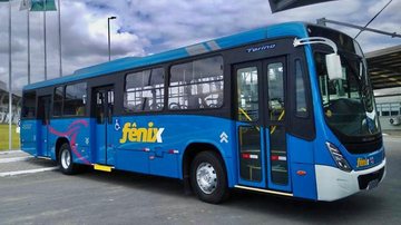 A empresa Expresso Fênix vai assumir o transporte coletivo de passageiros urbano e rural na cidade Caraguatatuba define nova empresa de ônibus e vagas de emprego já estão abertas Ônibus da nova empresa de transportes - Divulgação/Prefeitura de Caraguatatuba