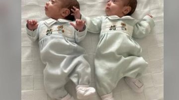 Gêmeos Miguel e Davi que nasceram com 36 horas e 34 minutos de diferença Gêmeos em caso raro na medicina Gêmeos deitados - Reprodução