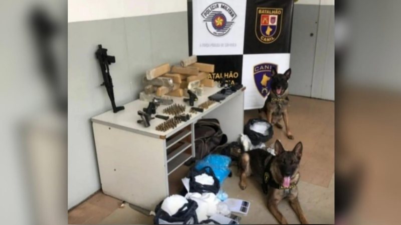 Dois cães policiais, Aisha e Machi, da raça pastor alemão, foram responsáveis por desvendar um crime na cidade de Santos - Divulgação/Governo do Estado de SP