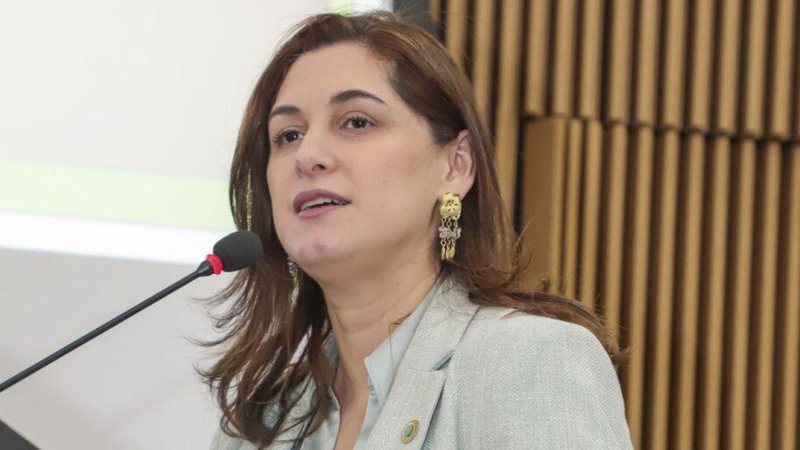 © Hilton Silva/Ministério da Mulher; da Família e dos Direitos Humanos - © Hilton Silva/Ministério da Mulher; da Família e dos Direitos Humanos
