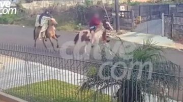 Furtos aconteceram na região de Uvaranas, em Ponta Grossa, no Paraná Dois homens com cavalos Dois homens fugindo a cavalo - Reprodução/Catve.com