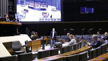 Cleia Viana/Câmara dos deputados/Agência Brasil